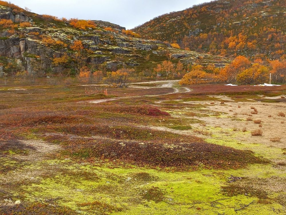 Photograph by OLGA MIKHNEVICH