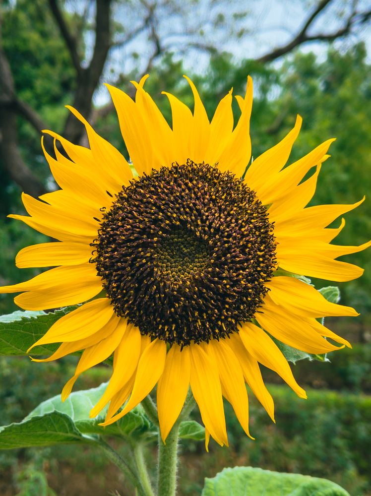 Photograph by Dhruv Mistry