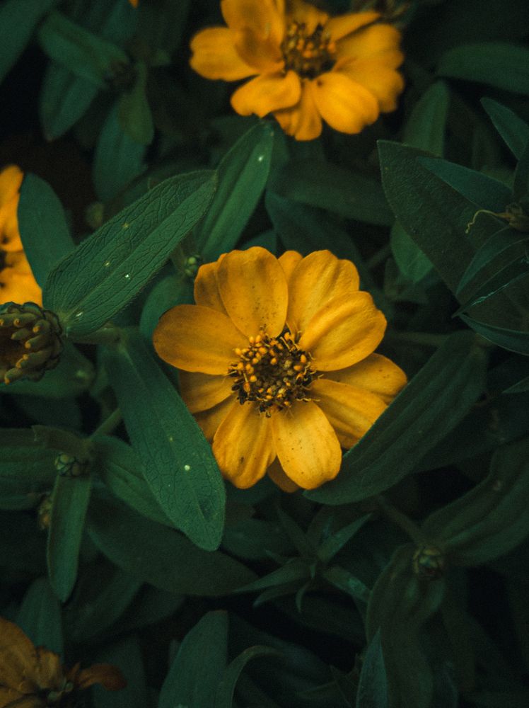 Photograph by Dhruv Mistry