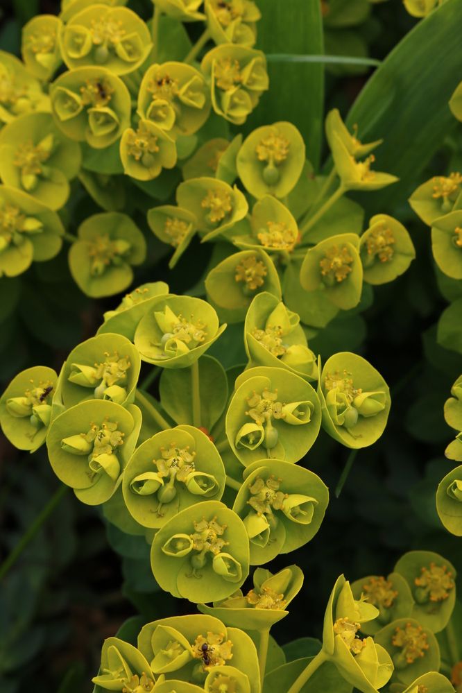 Photograph by Светлана Шуткова