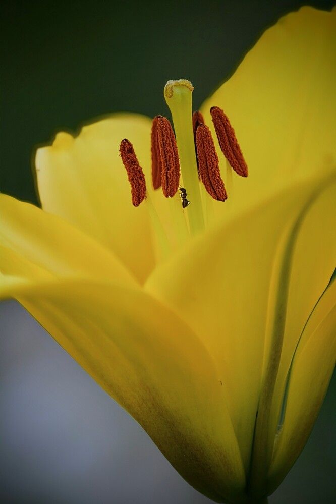 Photograph by София Бояринцева