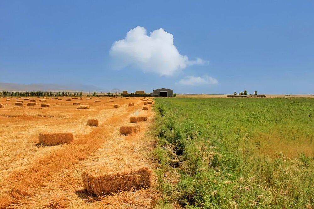 Фотография автора Maghsoud Moradi