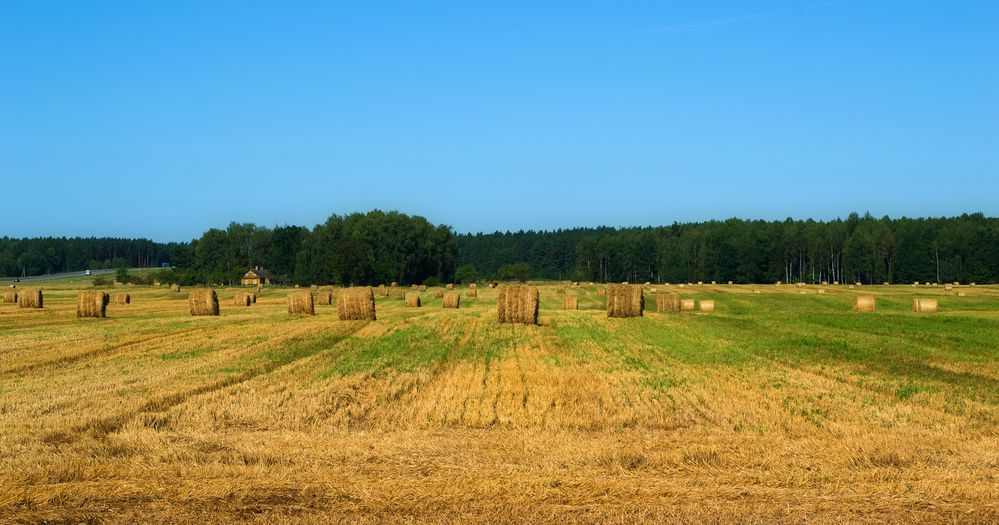 Фотография автора Юлия Кранина