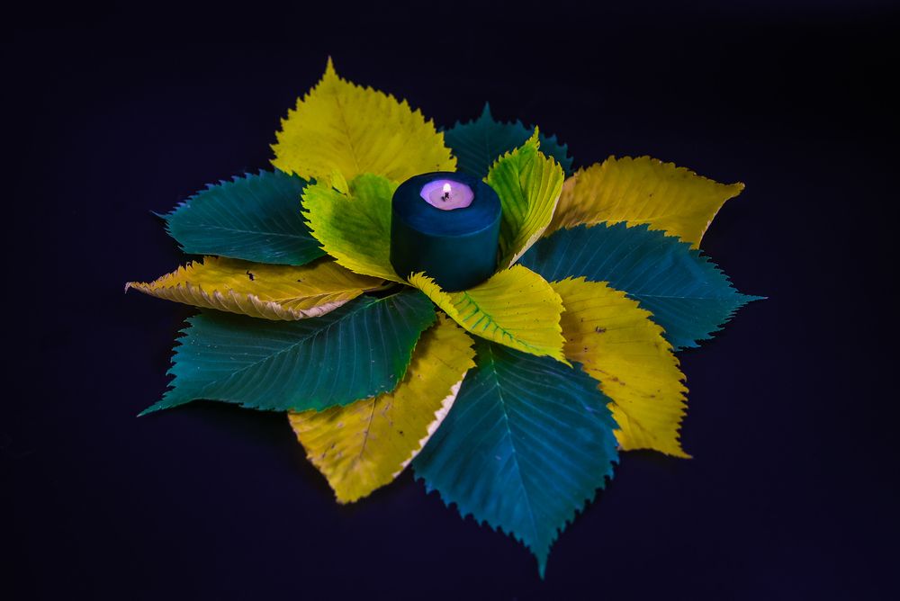 Photograph by Евгения Сенченко