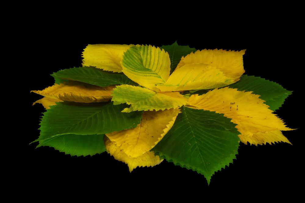 Photograph by Евгения Сенченко