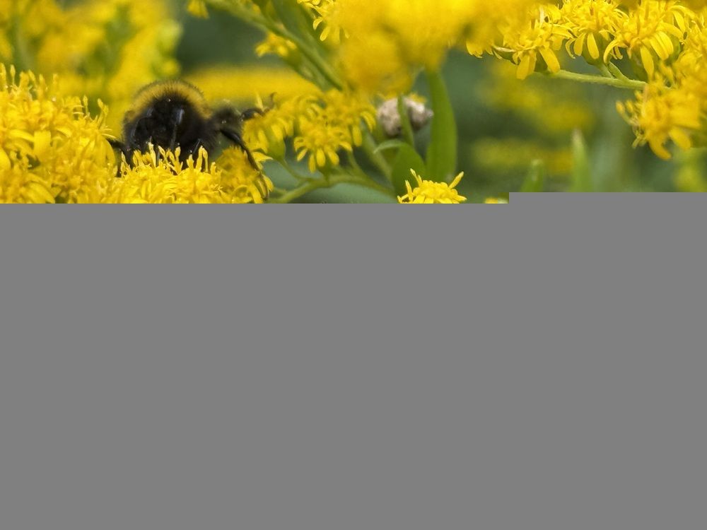 Photograph by Владислав Рубцов