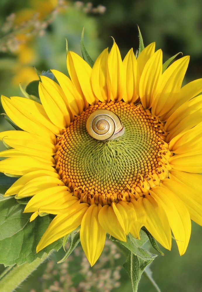 Photograph by Татьяна Сычёва