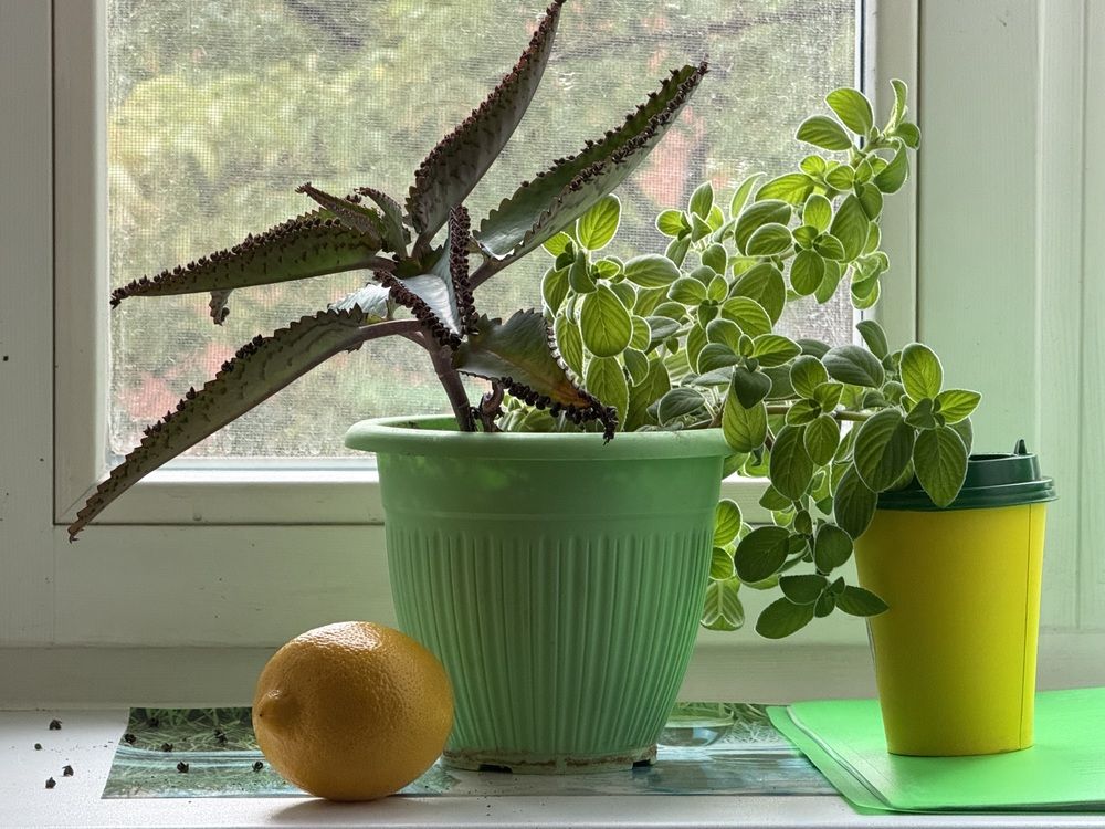 Photograph by Владислав Рубцов