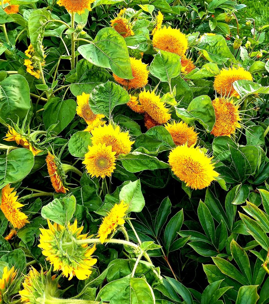 Photograph by Ольга Юрченко