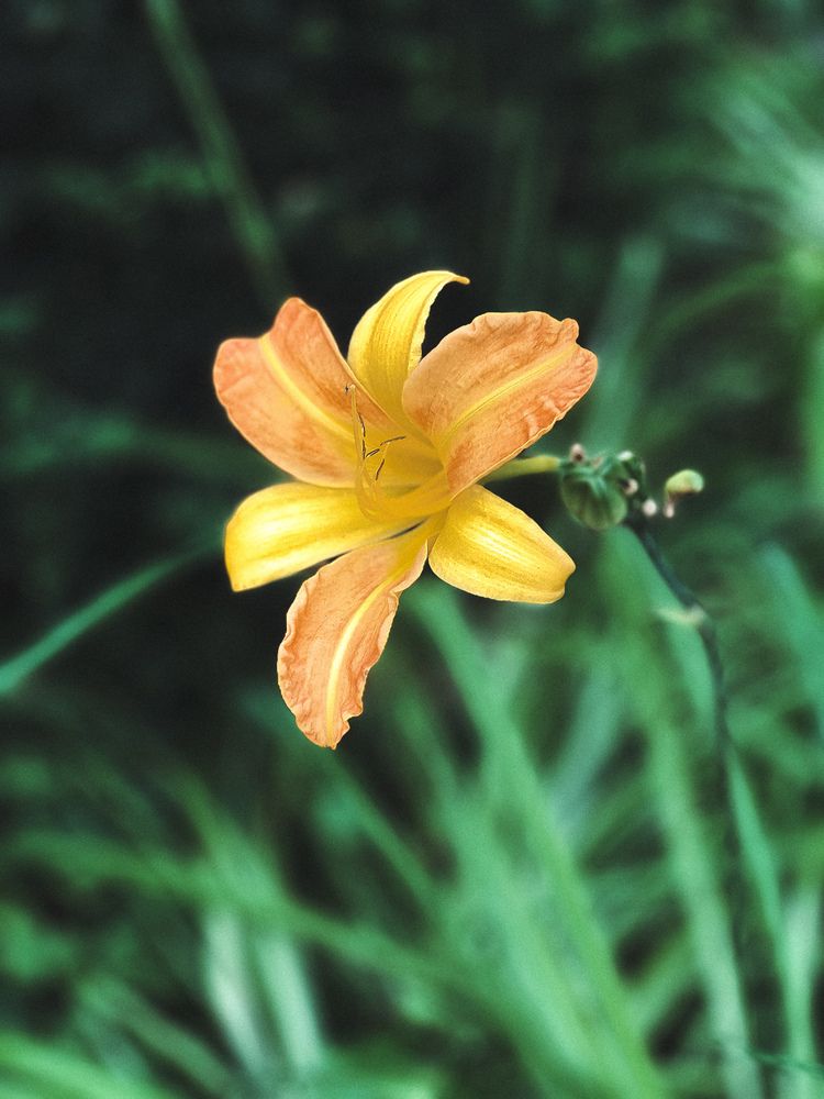 Photograph by Светлана Моисеева