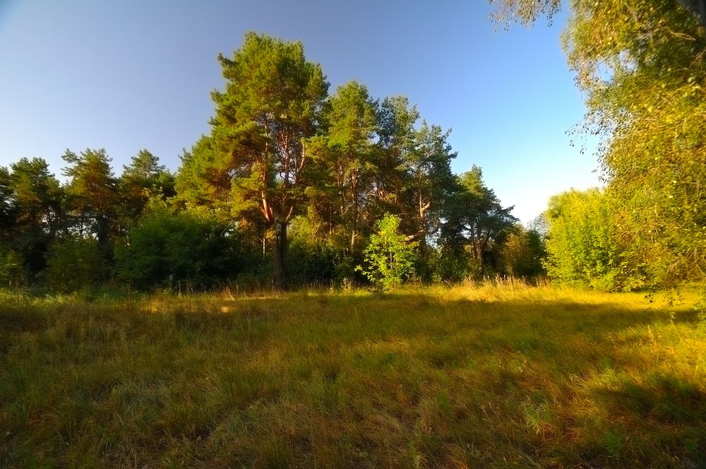 Photograph by Дмитрий Жуков