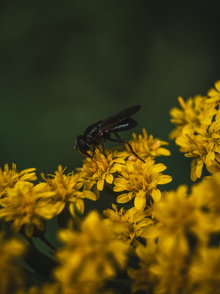 Photograph by Виктория Казакова