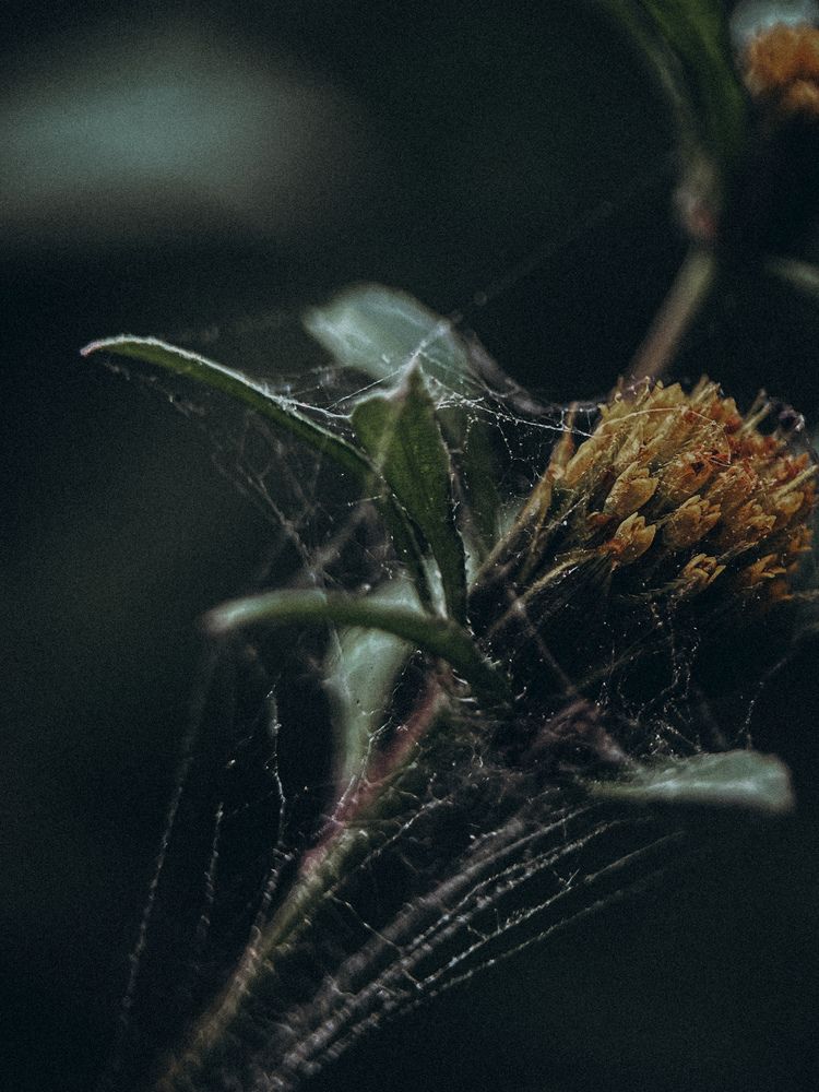 Photograph by Виктория Казакова