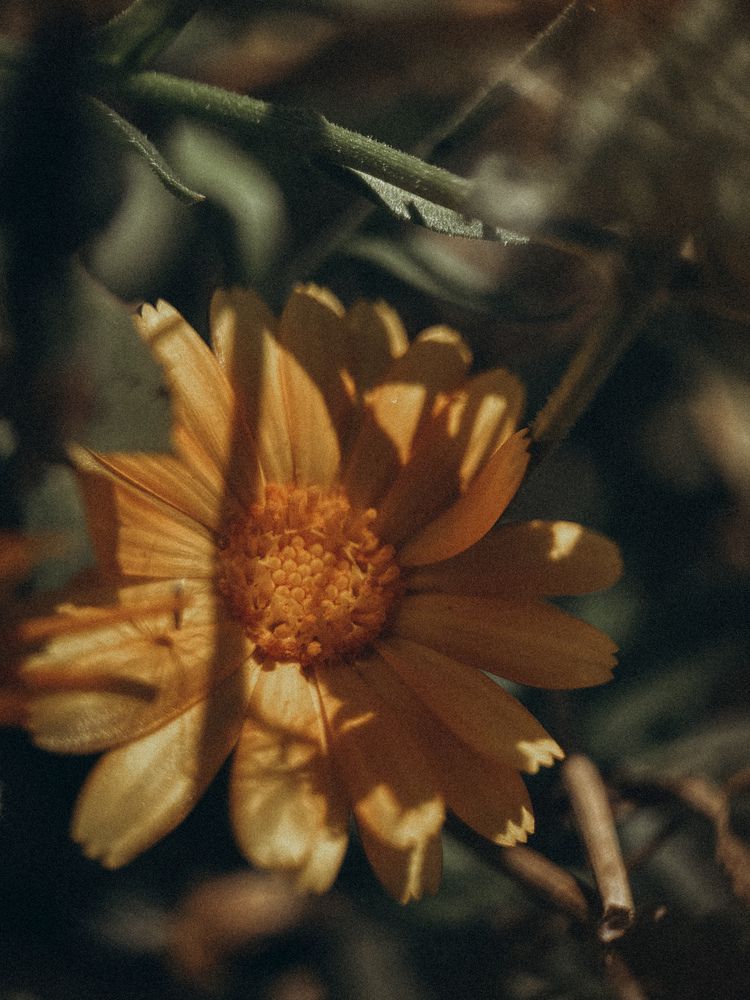 Photograph by Виктория Казакова