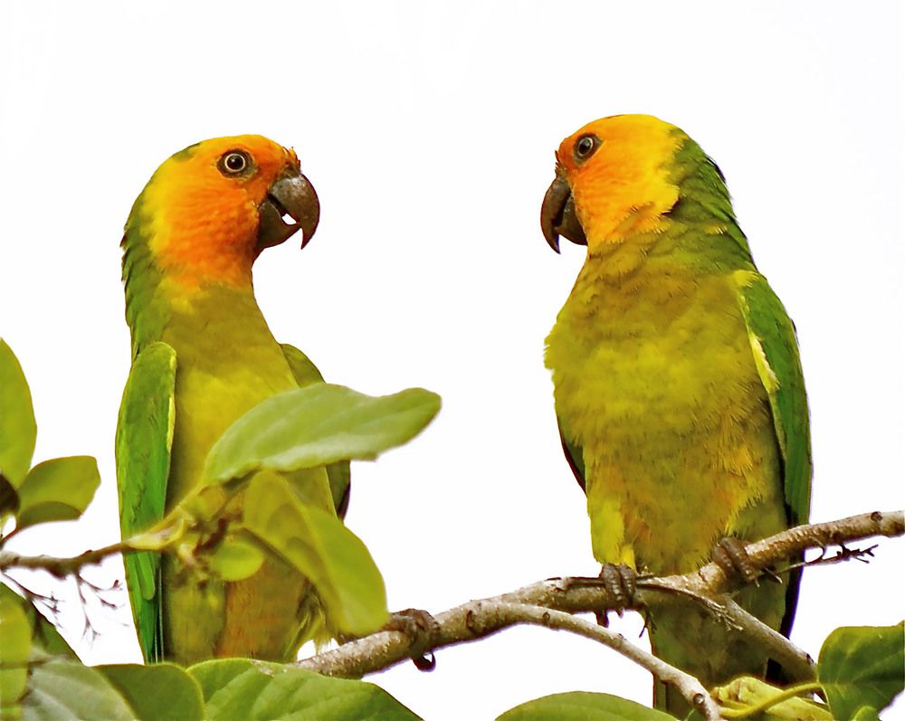 Photograph by Marjo Steffen