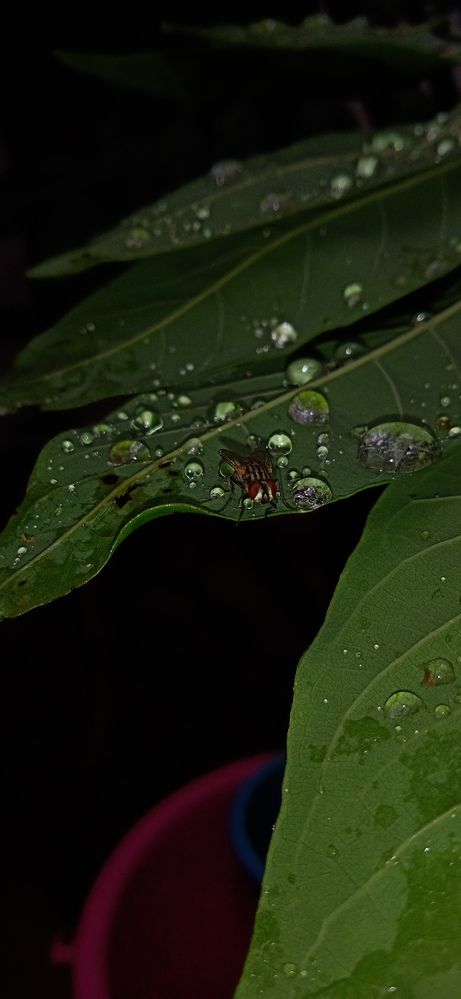 Photograph by Yasha Akhtar