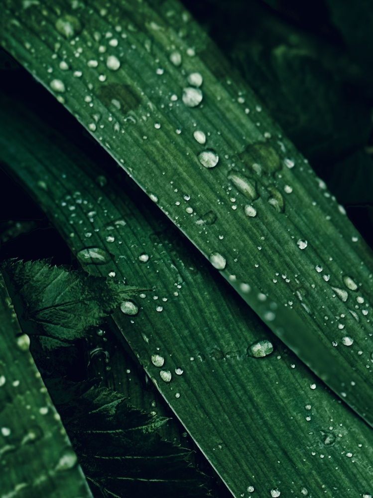 Photograph by Юлия Чернышёва