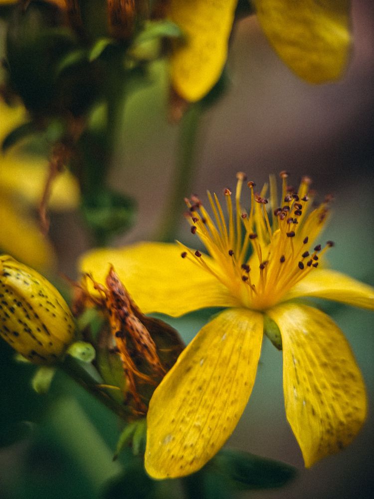 Photograph by Марина Харитонова