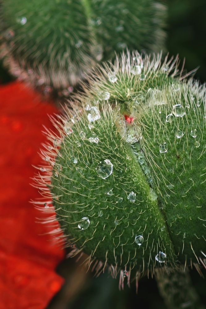 Фотография автора Наташа Данилова