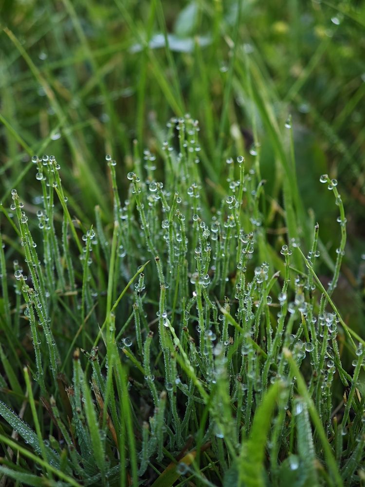 Фотография автора Наташа Данилова