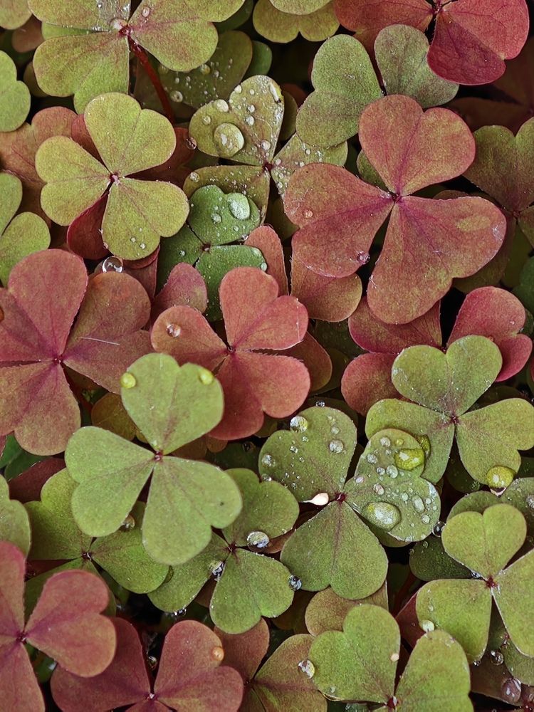 Фотография автора Наташа Данилова