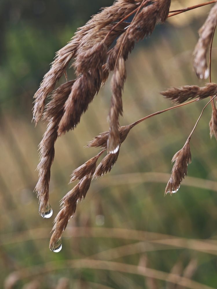 Фотография автора Наташа Данилова