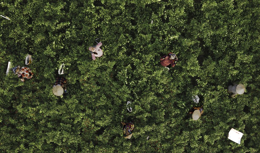 Photograph by Felix Schickel