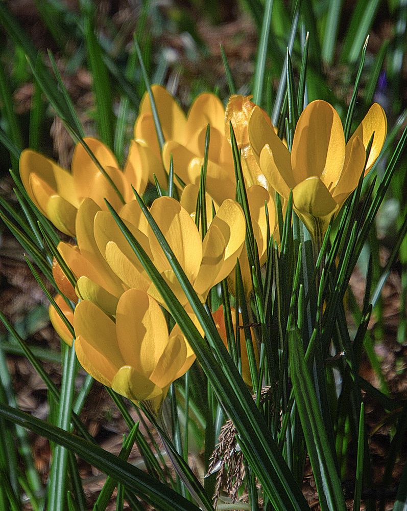 Фотография автора Александр