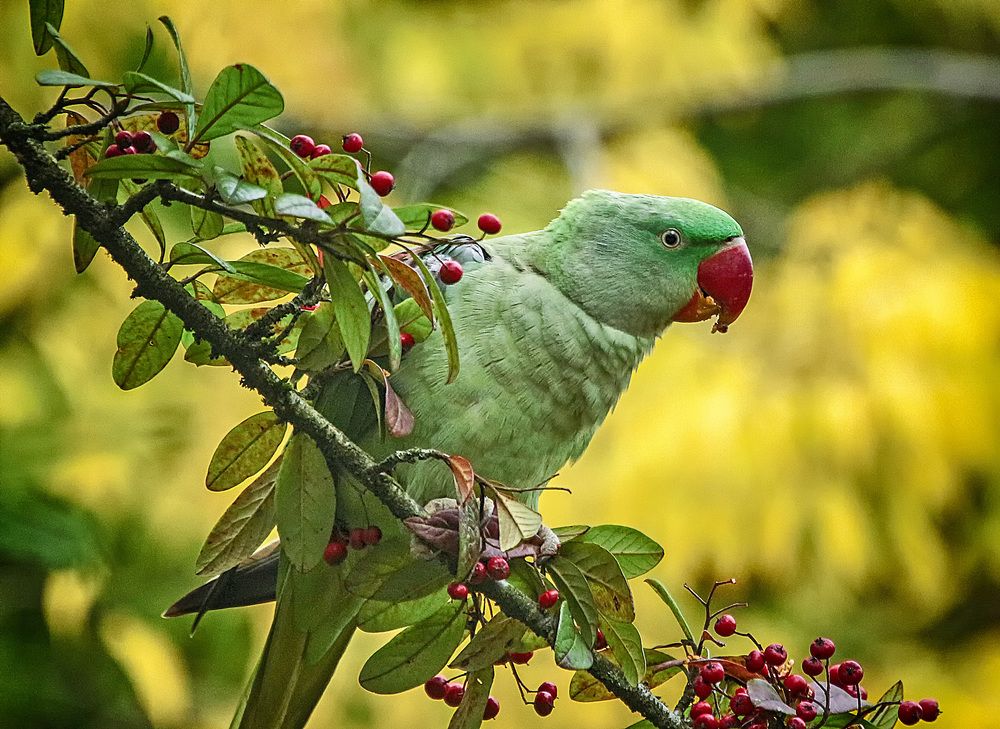 Фотография автора Александр