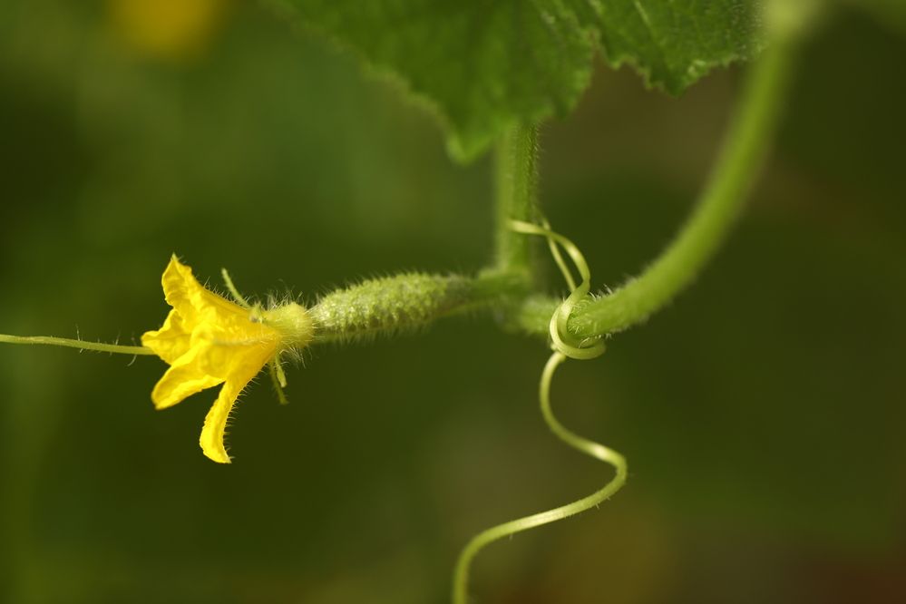 Photograph by Елена Одынец