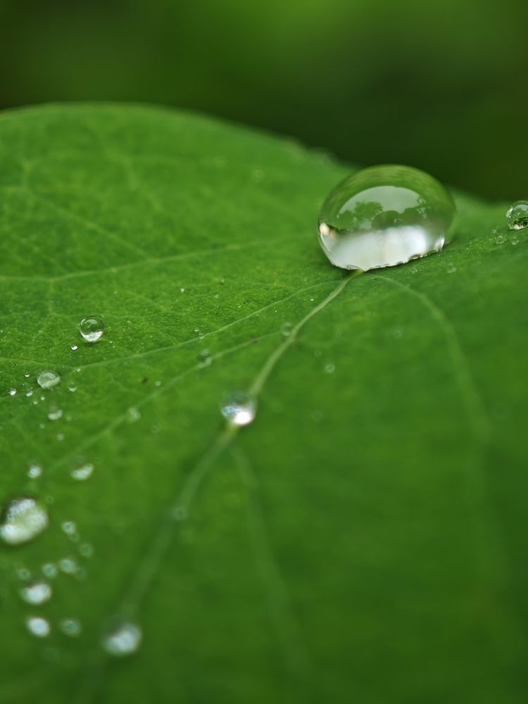 Фотография автора Наташа Данилова