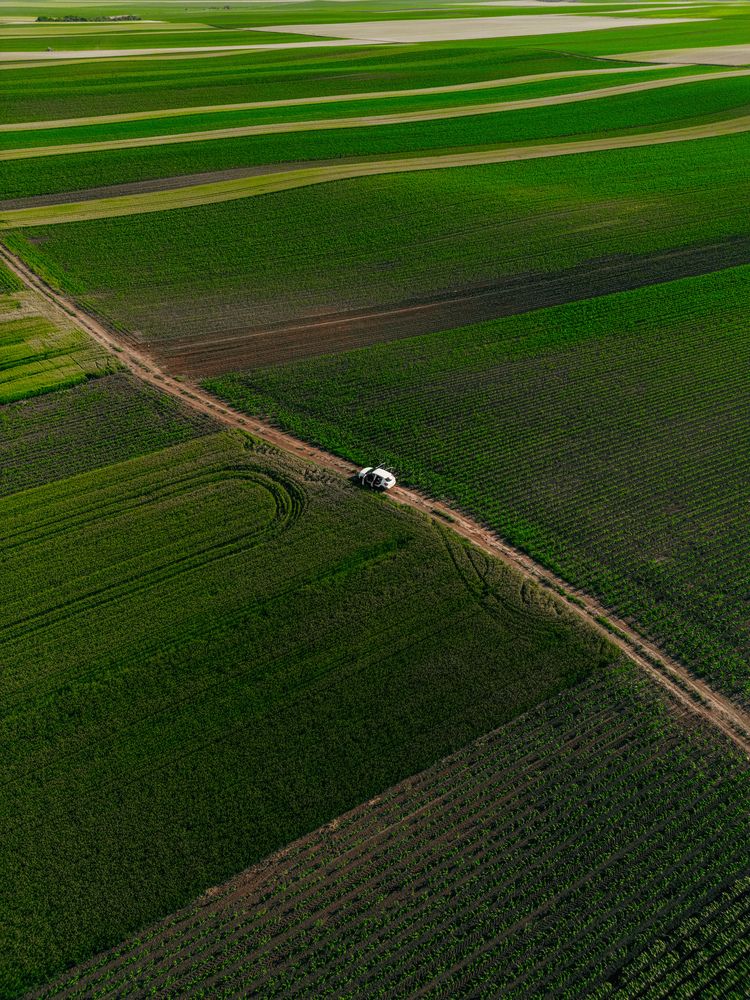 Photograph by Diony Alexander Sánchez Estevez