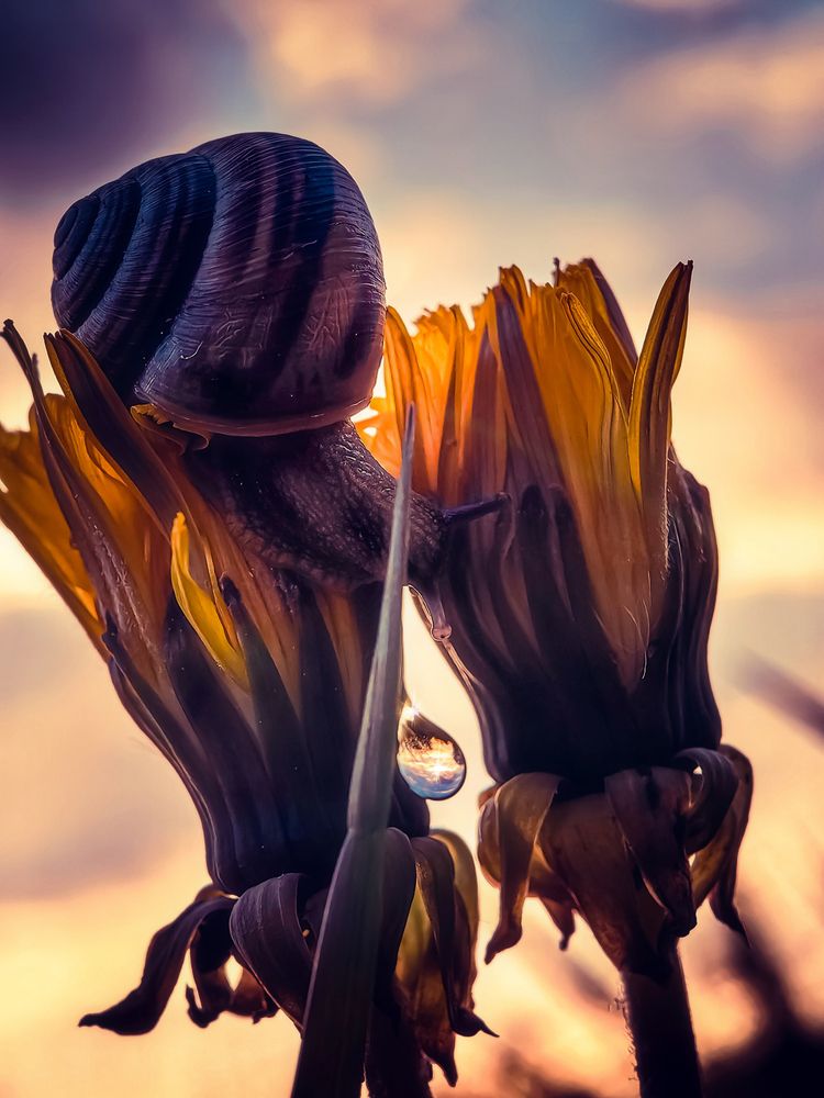 Photograph by Елена Макеева