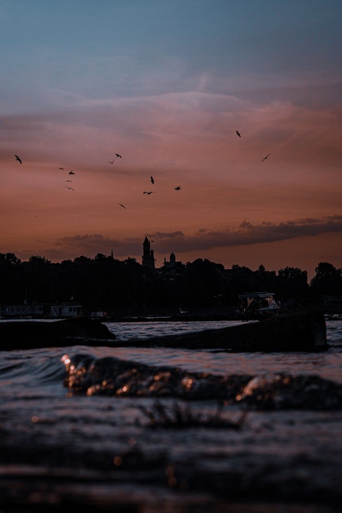 Photograph by Diony Alexander Sánchez Estevez