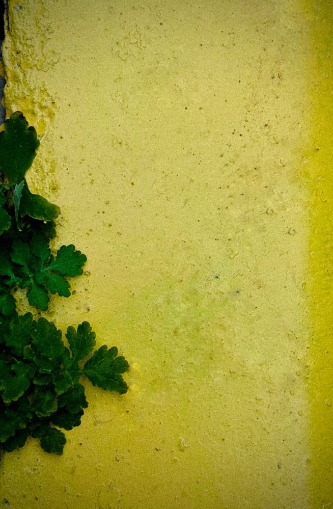 Photograph by Юлия Чернышёва