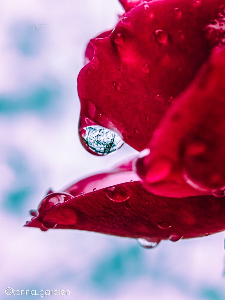 Photograph by Елена Макеева