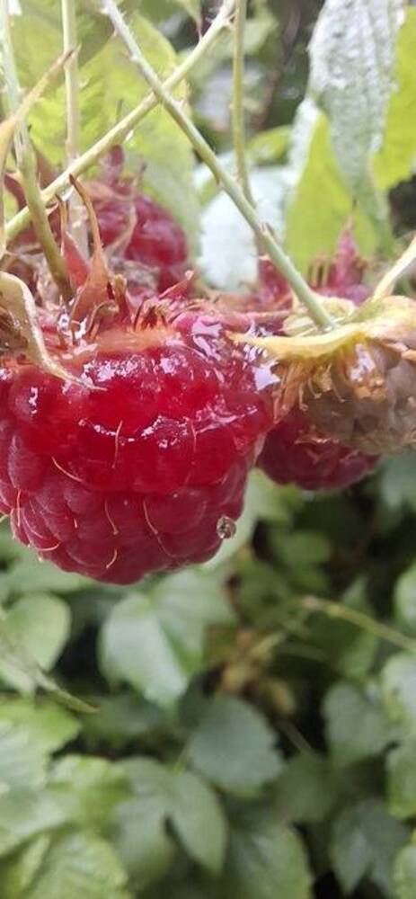 Photograph by Наталья Пирогова