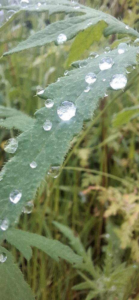 Photograph by Наталья Пирогова