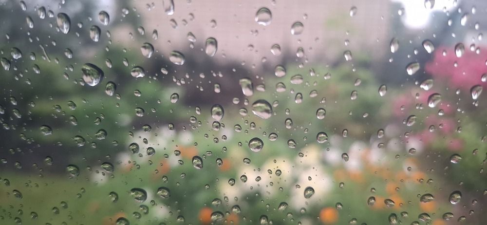 Photograph by Наталья Пирогова