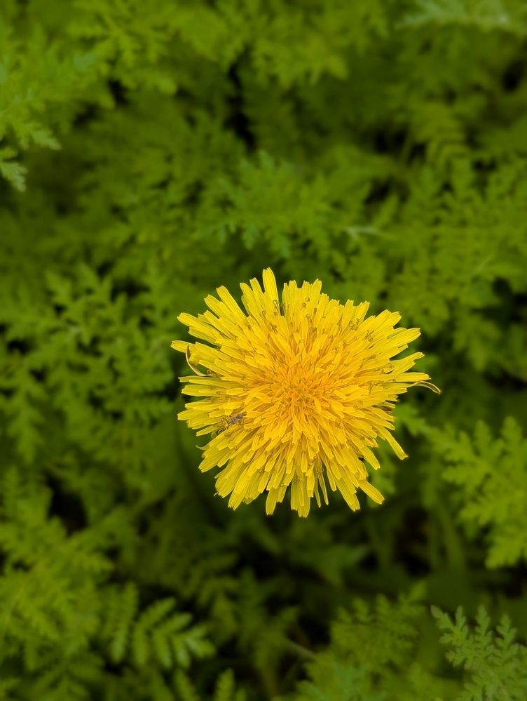 Фотография автора Рузинова Елена