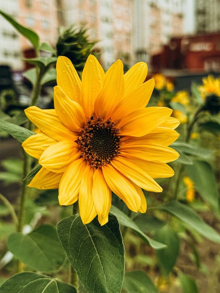 Фотография автора Марина Рябуха