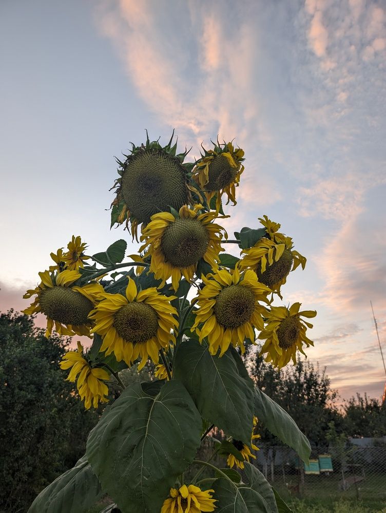 Фотография автора Рузинова Елена