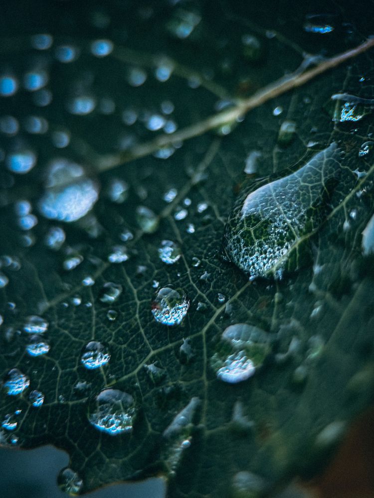 Photograph by Марина Харитонова