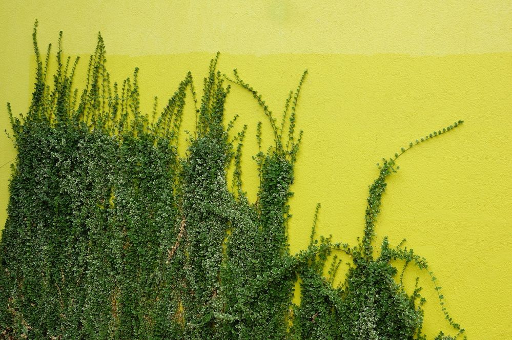 Photograph by Сергей Тихомиров