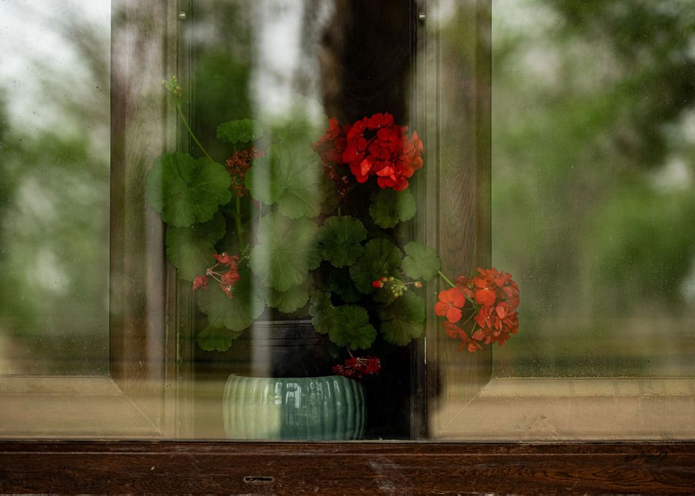 Photograph by shahla kalantary