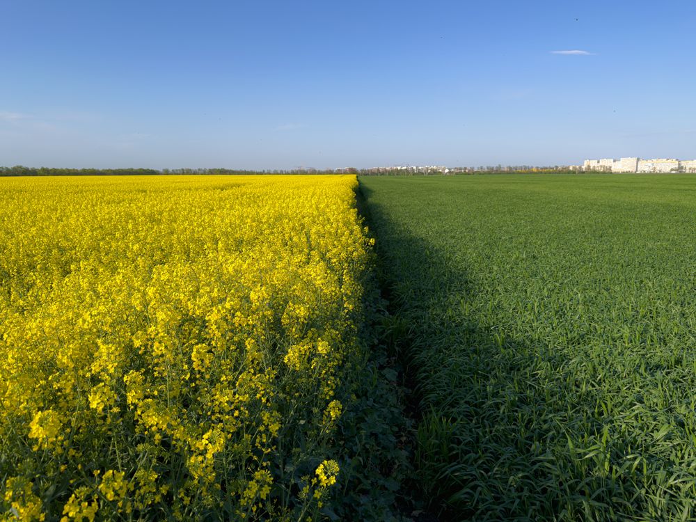 Photograph by Сергей Тихомиров