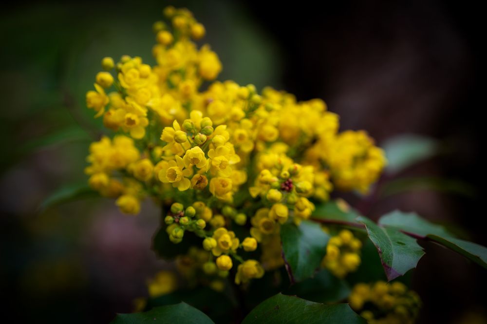 Photograph by Сергей Тихомиров