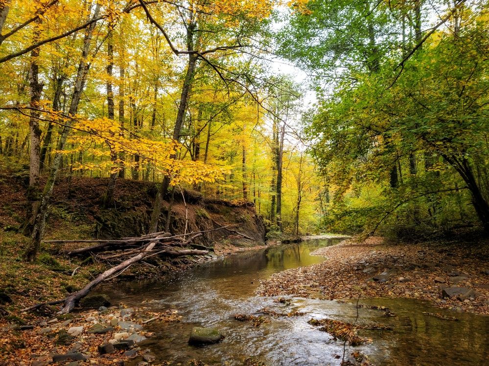 Photograph by Сергей Тихомиров