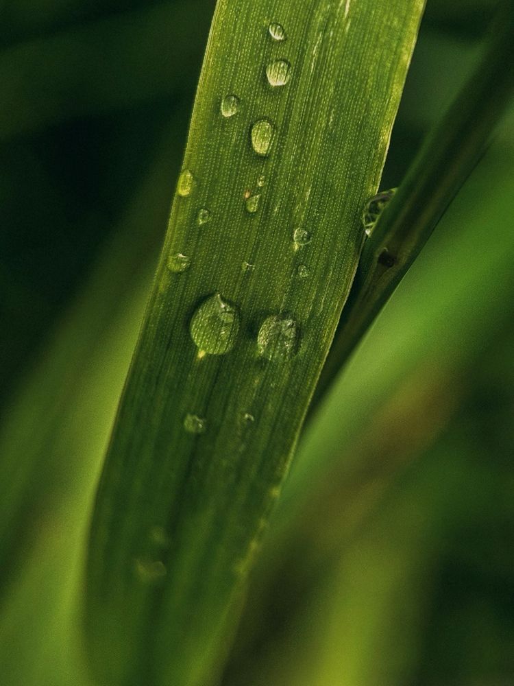 Фотография автора Мария