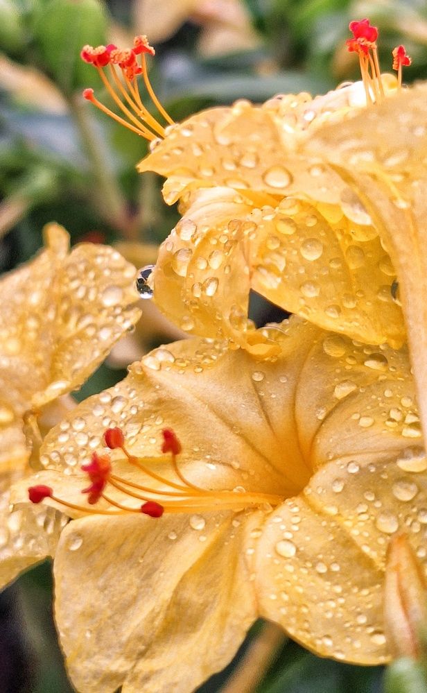 Photograph by Sina Saadati